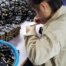 Visual Inspection